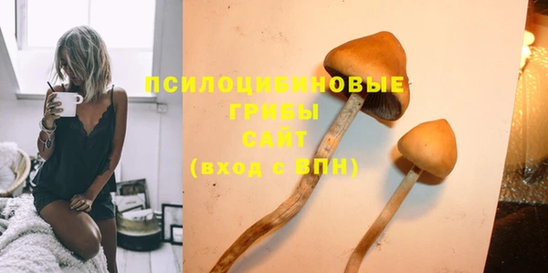 а пвп мука Гусев