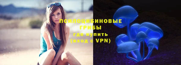 ALPHA-PVP Гусь-Хрустальный