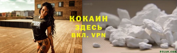 ALPHA-PVP Гусь-Хрустальный