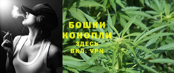 прущая мука Гусиноозёрск