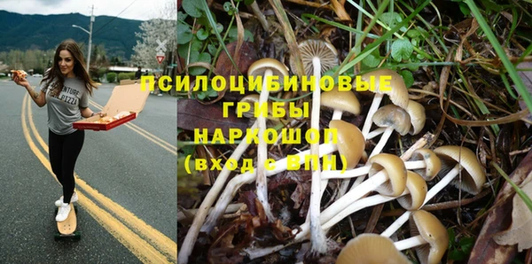 а пвп мука Гусев